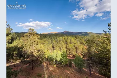 1920 Pikes Peak Drive, Divide, CO 80814 - Photo 20