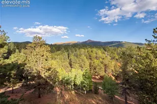 1920 Pikes Peak Dr, Divide, CO 80814 - Photo 20
