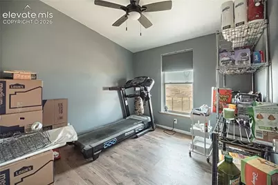 5675 Salt Cedar Road, Fountain, CO 80817 - Photo 24