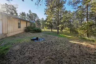19280 Doewood Dr, Monument, CO 80132 - Photo 4