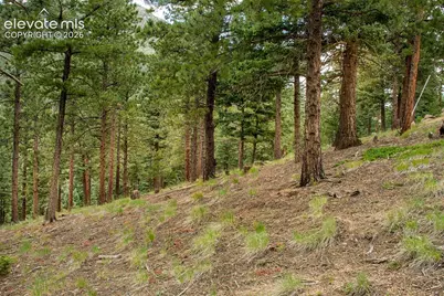 266 Aspen Ridge Road, Manitou Springs, CO 80829 - Photo 18