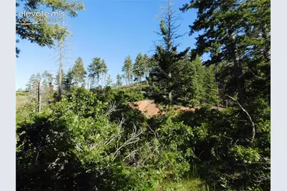 Lot 11 Cheyenne Drive, Larkspur, CO 80118 - Photo 16