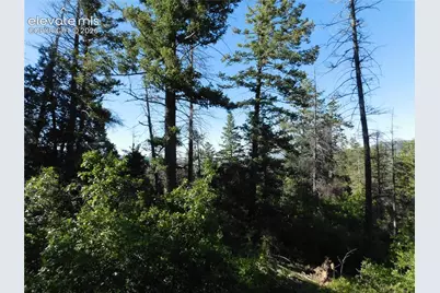 Lot 11 Cheyenne Drive, Larkspur, CO 80118 - Photo 6