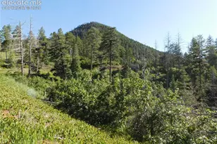 Lot 11 Cheyenne Dr, Larkspur, CO 80118 - Photo 1