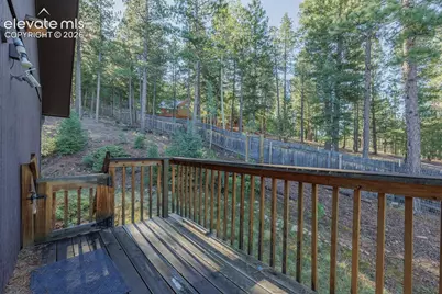 1170 Pine Ridge Road, Woodland Park, CO 80863 - Photo 24
