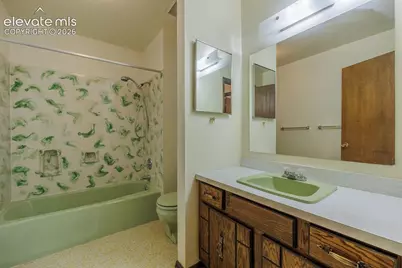 1170 Pine Ridge Road, Woodland Park, CO 80863 - Photo 38