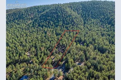 1170 Pine Ridge Road, Woodland Park, CO 80863 - Photo 46