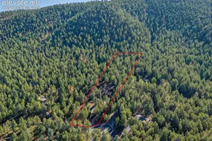 1170 Pine Ridge Rd, Woodland Park, CO 80863 - Photo 46