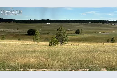 18899 Cherry Springs Ranch Drive, Monument, CO 80132 - Photo 2