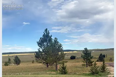 18899 Cherry Springs Ranch Drive, Monument, CO 80132 - Photo 1