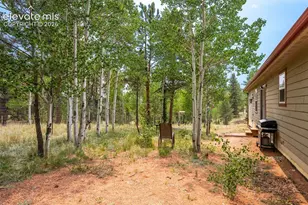 156 Fossil Creek Rd, Florissant, CO 80816 - Photo 38