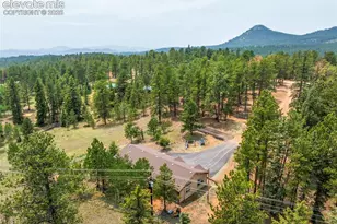 156 Fossil Creek Rd, Florissant, CO 80816 - Photo 44