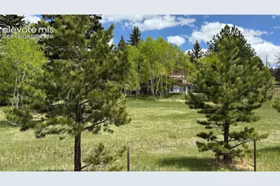 741 Elfin Glen Drive, Divide, CO 80814 - Photo 38
