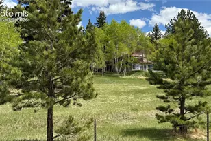 741 Elfin Glen Dr, Divide, CO 80814 - Photo 38