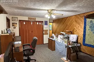 741 Elfin Glen Dr, Divide, CO 80814 - Photo 16