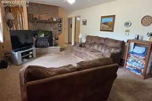 741 Elfin Glen Dr, Divide, CO 80814 - Photo 4