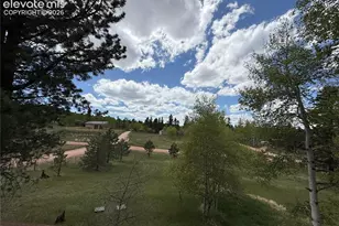 741 Elfin Glen Dr, Divide, CO 80814 - Photo 36