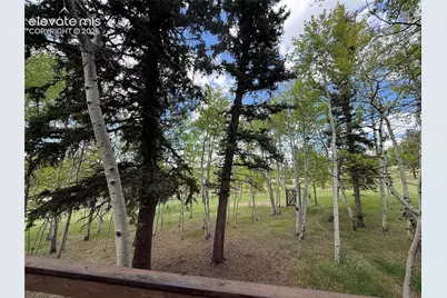741 Elfin Glen Drive, Divide, CO 80814 - Photo 34