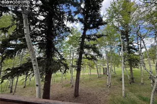 741 Elfin Glen Dr, Divide, CO 80814 - Photo 34