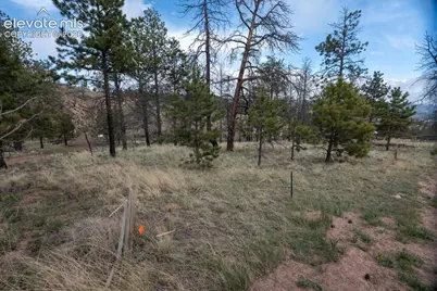 144 Chapparal Trail, Florissant, CO 80816 - Photo 2