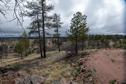 144 Chapparal Trail, Florissant, CO 80816 - Photo 6