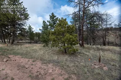 144 Chapparal Trail, Florissant, CO 80816 - Photo 4