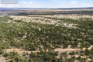 2911 Co Rd 103, Florence, CO 81226 - Photo 40