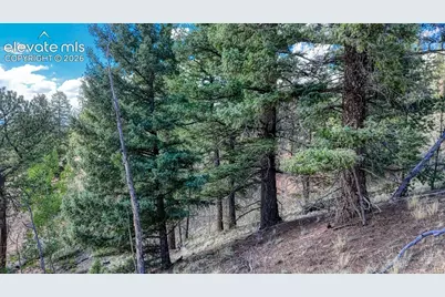 783 Bennett Drive, Cripple Creek, CO 80813 - Photo 18