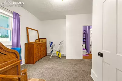 137 W Eaton Avenue, Cripple Creek, CO 80813 - Photo 8