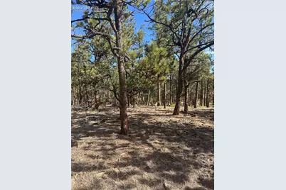 642 Matterhorn Drive, Florissant, CO 80816 - Photo 2