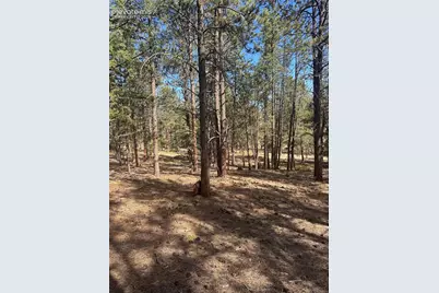 642 Matterhorn Drive, Florissant, CO 80816 - Photo 4