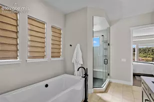 4731 Mountain Ledge Ln, Monument, CO 80132 - Photo 14