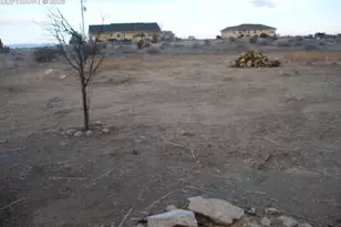 1255 N Rising Sun Pl, Pueblo West, CO 81007 - Photo 12