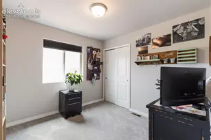 7866 Piton Pt, Colorado Springs, CO 80923 - Photo 20
