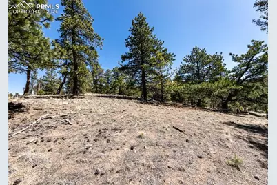 110 La Abu Trail, Florissant, CO 80816 - Photo 12