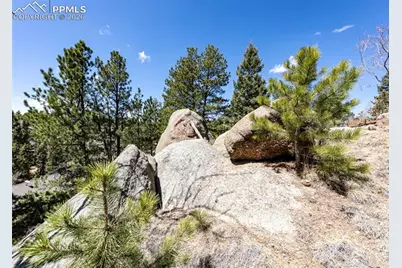 110 La Abu Trail, Florissant, CO 80816 - Photo 6