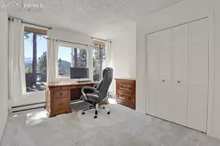 240 Sun Ridge Ct, Woodland Park, CO 80863 - Photo 28