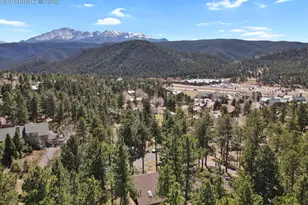 240 Sun Ridge Ct, Woodland Park, CO 80863 - Photo 44