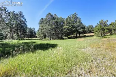 18390 Black Squirrel Road, Colorado Springs, CO 80908 - Photo 6