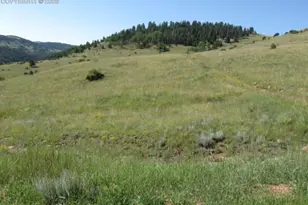 Lot 9-10 Shideler Ave, Cripple Creek, CO 80813 - Photo 1