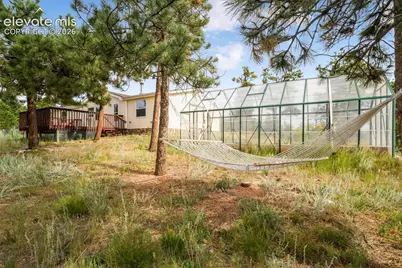 696 Calle De La Nieva Na, Florissant, CO 80816 - Photo 6