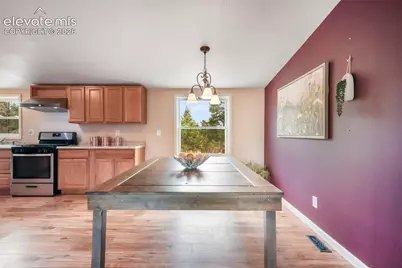 696 Calle De La Nieva Na, Florissant, CO 80816 - Photo 14