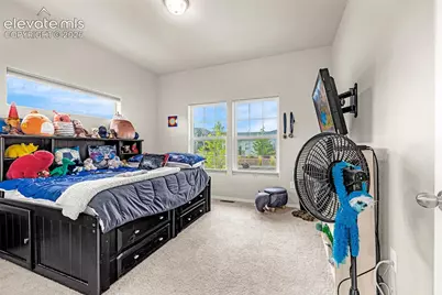 10301 Sharon Springs Drive, Colorado Springs, CO 80924 - Photo 24