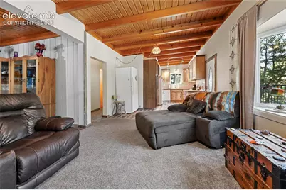 4455 Heizer Street, Cascade, CO 80809 - Photo 10