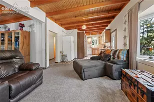 4455 Heizer St, Cascade, CO 80809 - Photo 10
