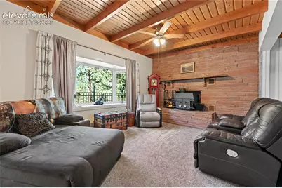 4455 Heizer Street, Cascade, CO 80809 - Photo 8