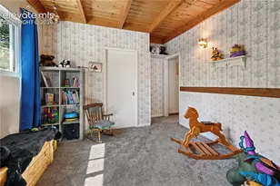 4455 Heizer St, Cascade, CO 80809 - Photo 32
