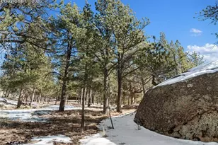 10448 Co Rd 1, Florissant, CO 80816 - Photo 34
