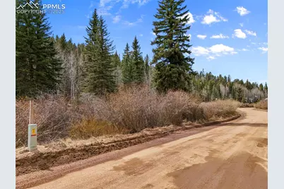 464 E Bison Creek Trail, Florissant, CO 80816 - Photo 4