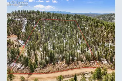 464 E Bison Creek Trail, Florissant, CO 80816 - Photo 6